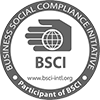 Bsci-logo